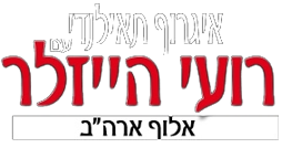 רועי הייזלר